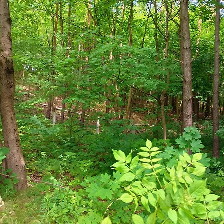 Klimatyczne Siedlisko Tatil Evi Piece (Pomerania)