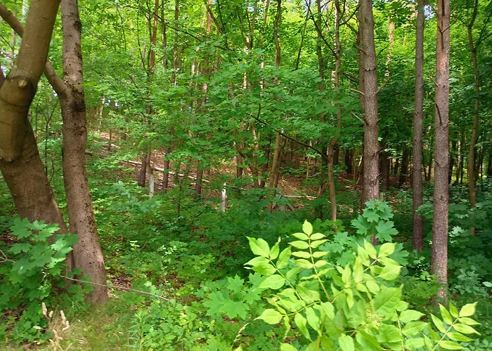 Klimatyczne Siedlisko Дом отдыха Piece (Pomerania)